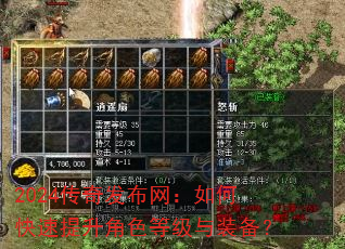 2024���淢��������ο���������ɫ�ȼ���װ����