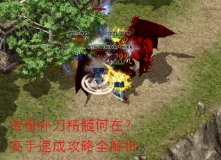 ���油��������ڣ������ٳɹ���ȫ����