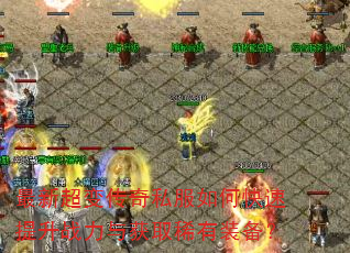���³��䴫��˽����ο�������ս�����ȡϡ��װ����