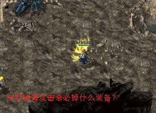 白野猪每次击杀必掉什么装备? 白野猪每次击杀必掉什么装备?