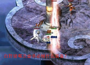白野猪每次击杀必掉什么装备? 白野猪每次击杀必掉什么装备?