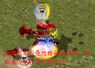 ����̬��ְҵ����˽���������ˢ��������ɱ�ռ�BOSS��