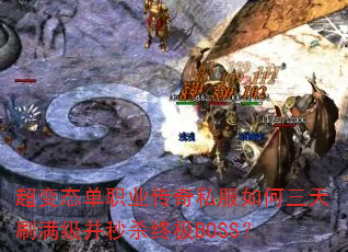 ����̬��ְҵ����˽���������ˢ��������ɱ�ռ�BOSS��