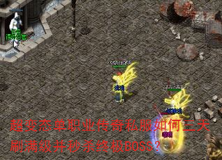 ����̬��ְҵ����˽���������ˢ��������ɱ�ռ�BOSS��