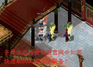 ʥ����Ѫ����˽����������ο���ˢBOSS����Ʒװ����