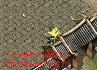 ��̬����ƽ̨app������������ˢװ������ս����