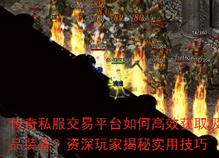 ����˽������ƽ̨��θ�Ч��ȡ��Ʒװ����������ҽ���ʵ�ü���