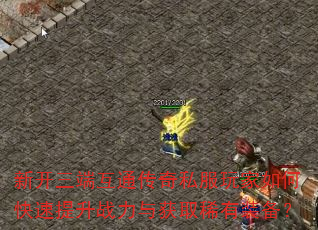 新开三端互通传奇私服玩家如何快速提升战力与获取稀有装备? 新开三端互通传奇私服玩家如何快速提升战力与获取稀有装备?