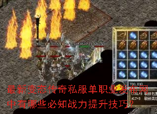 ���±�̬����˽����ְҵ������������Щ��֪ս���������ɣ�