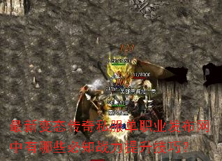 ���±�̬����˽����ְҵ������������Щ��֪ս���������ɣ�