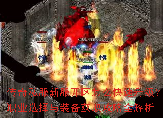 ����˽���·�������ô����������ְҵѡ����װ����ȡ����ȫ����