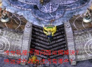 ����˽������������ν������������ս����������Щ��