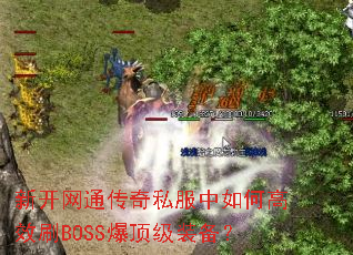 �¿���ͨ����˽������θ�ЧˢBOSS������װ����