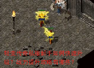 ��䴫��˽��������ο���������ս��������������Щ��