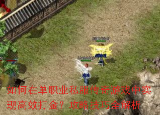 ����ڵ�ְҵ˽��������Ϸ��ʵ�ָ�Ч��𣿹��Լ���ȫ����