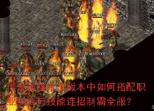 ����˽���ϻ��汾����δ���ְҵ����뼼�������ư�ȫ����