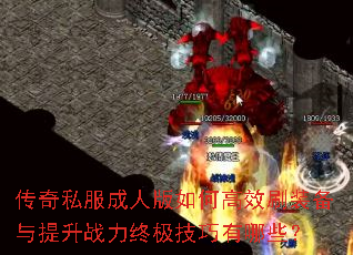 ����˽�����˰���θ�Чˢװ��������ս���ռ���������Щ��