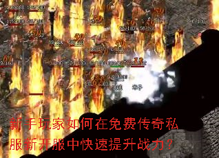 ��������������Ѵ���˽���¿����п�������ս����