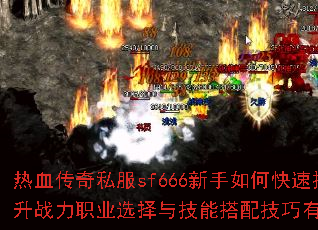 ��Ѫ����˽��sf666������ο�������ս��ְҵѡ���뼼�ܴ��似������Щ��