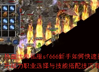 ��Ѫ����˽��sf666������ο�������ս��ְҵѡ���뼼�ܴ��似������Щ��
