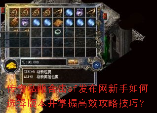 ����˽���ϻ�sf�������������ѡ��汾�����ո�Ч���Լ��ɣ�