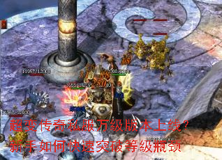 ���䴫��˽���򼶰汾���ߣ�������ο���ͻ�Ƶȼ�ƿ��