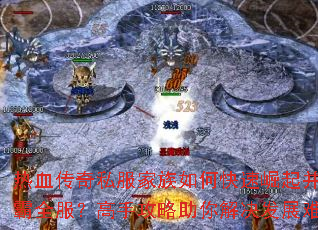 ��Ѫ����˽��������ο������𲢳ư�ȫ�������ֹ�����������չ����