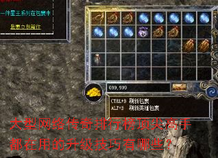 大型网络传奇排行榜顶尖高手都在用的升级技巧有哪些? 大型网络传奇排行榜顶尖高手都在用的升级技巧有哪些?