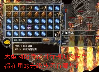 大型网络传奇排行榜顶尖高手都在用的升级技巧有哪些? 大型网络传奇排行榜顶尖高手都在用的升级技巧有哪些?