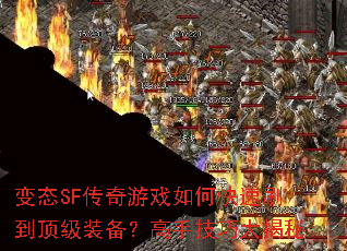 ��̬SF������Ϸ��ο���ˢ������װ�������ּ��ɴ����
