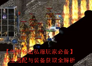 ������ϻ�˽����ұر���ְҵ������װ����ȡȫ����