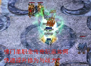 ���ŵ�ְҵ���������ο���������Ϊ��ս����