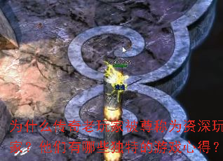 Ϊʲô��������ұ����Ϊ������ң���������Щ���ص���Ϸ�ĵã�