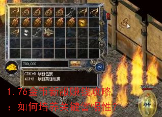 1.76金币新服赚钱攻略:如何培养关键警惕性? 1.76金币新服赚钱攻略:如何培养关键警惕性?