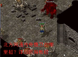 ������ͨ����ӥ���������У���ϸͼ��̳�
