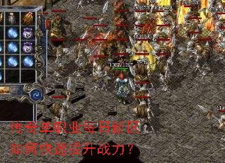 ���浥ְҵÿ��������ο�������ս����