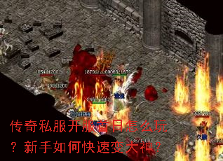 ����˽������������ô�棿������ο��ٱ����