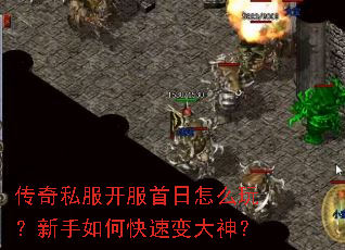 ����˽������������ô�棿������ο��ٱ����
