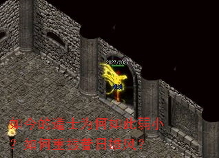 如今的道士为何如此弱小?如何重振昔日雄风? 如今的道士为何如此弱小?如何重振昔日雄风?