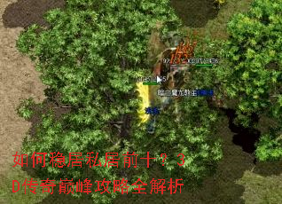 如何稳居私居前十?3D传奇巅峰攻略全解析 如何稳居私居前十?3D传奇巅峰攻略全解析