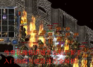 ����˽�����ɰ���ô�棿��������ָ������׼���ȫ����