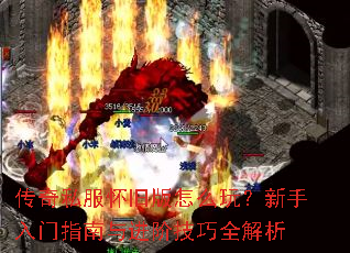 ����˽�����ɰ���ô�棿��������ָ������׼���ȫ����