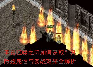 ʥ���Х֮ӡ��λ�ȡ��������������ʵսЧ��ȫ����