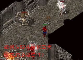 如何获取并强化凰天魔衣的顶级属性? 如何获取并强化凰天魔衣的顶级属性?