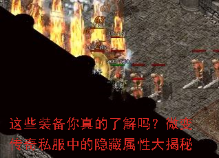 ��Щװ��������˽���΢�䴫��˽���е��������Դ����