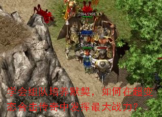 学会组队培养默契,如何在超变态合击传奇中发挥最大战力? 学会组队培养默契,如何在超变态合击传奇中发挥最大战力?