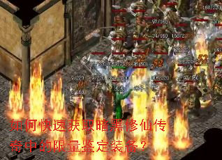 如何快速获取暗黑修仙传奇中的限量鉴定装备? 如何快速获取暗黑修仙传奇中的限量鉴定装备?