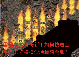 �������Ŵ���������ο������֣�������ɨɳ���ư�ȫ����