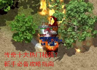 ����ʮ�������ؼ������ֱر�����ָ��