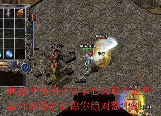 ��Ѫ�����л�������ôȡ����Щ��������������������벻��